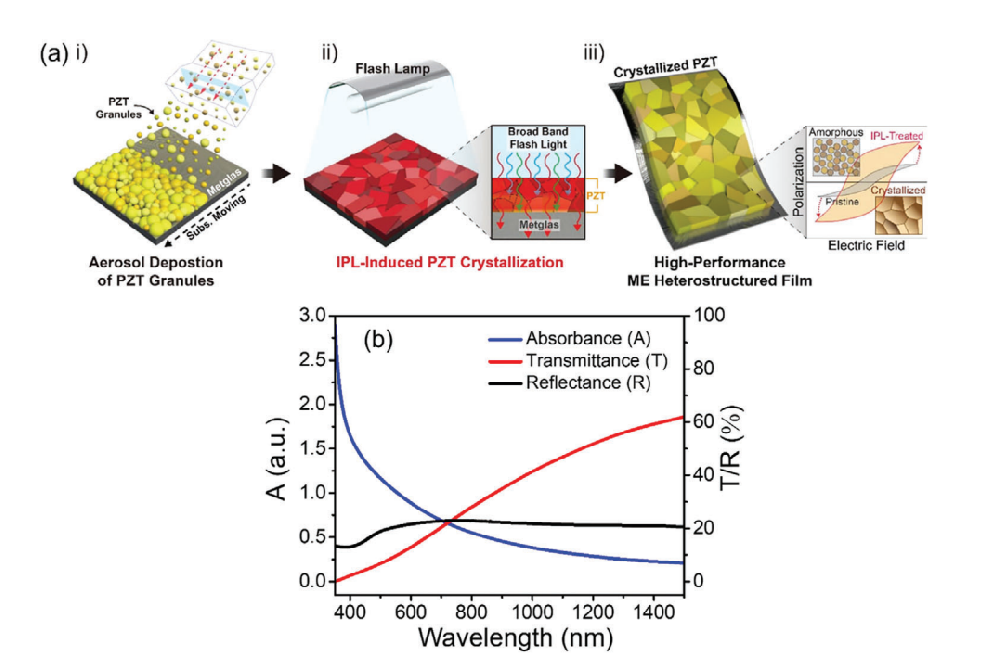 《Advanced Material》：采用光子燒結(jié)熱處理Pb（Zr，Ti）O3/Metglas異質(zhì)結(jié)構(gòu)薄膜會產(chǎn)生超過20Vcm?1Oe?1的極大磁電耦合（IF=29.477）
